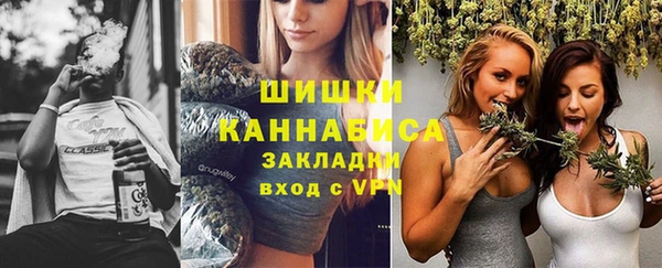 гидра Семилуки
