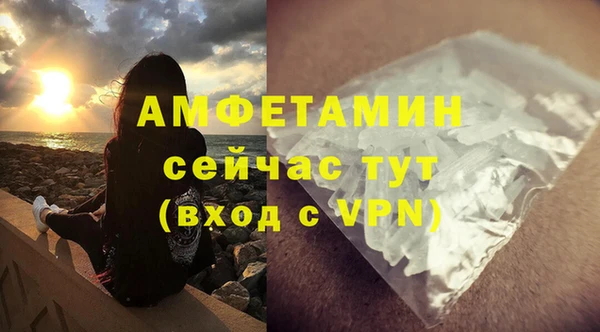 гидра Семилуки