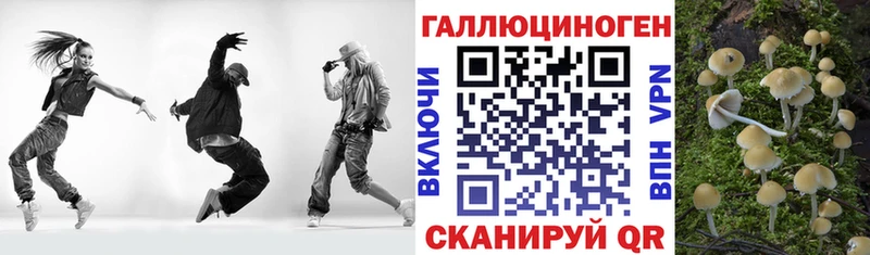 где продают наркотики  Славск  Псилоцибиновые грибы прущие грибы 