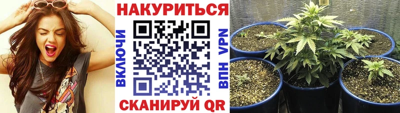 МАРИХУАНА Bruce Banner  Славск 